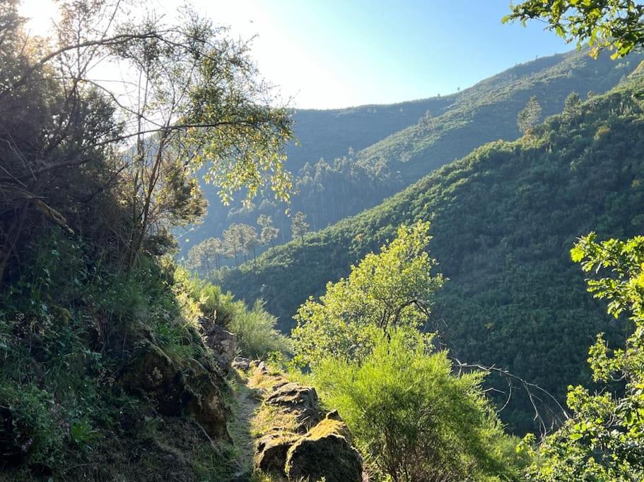 Casinha Do Sol - Natureza & Lazer - Serra Da Freita Arouca Bagian luar foto