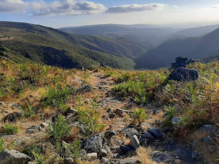 Casinha Do Sol - Natureza & Lazer - Serra Da Freita Arouca Bagian luar foto
